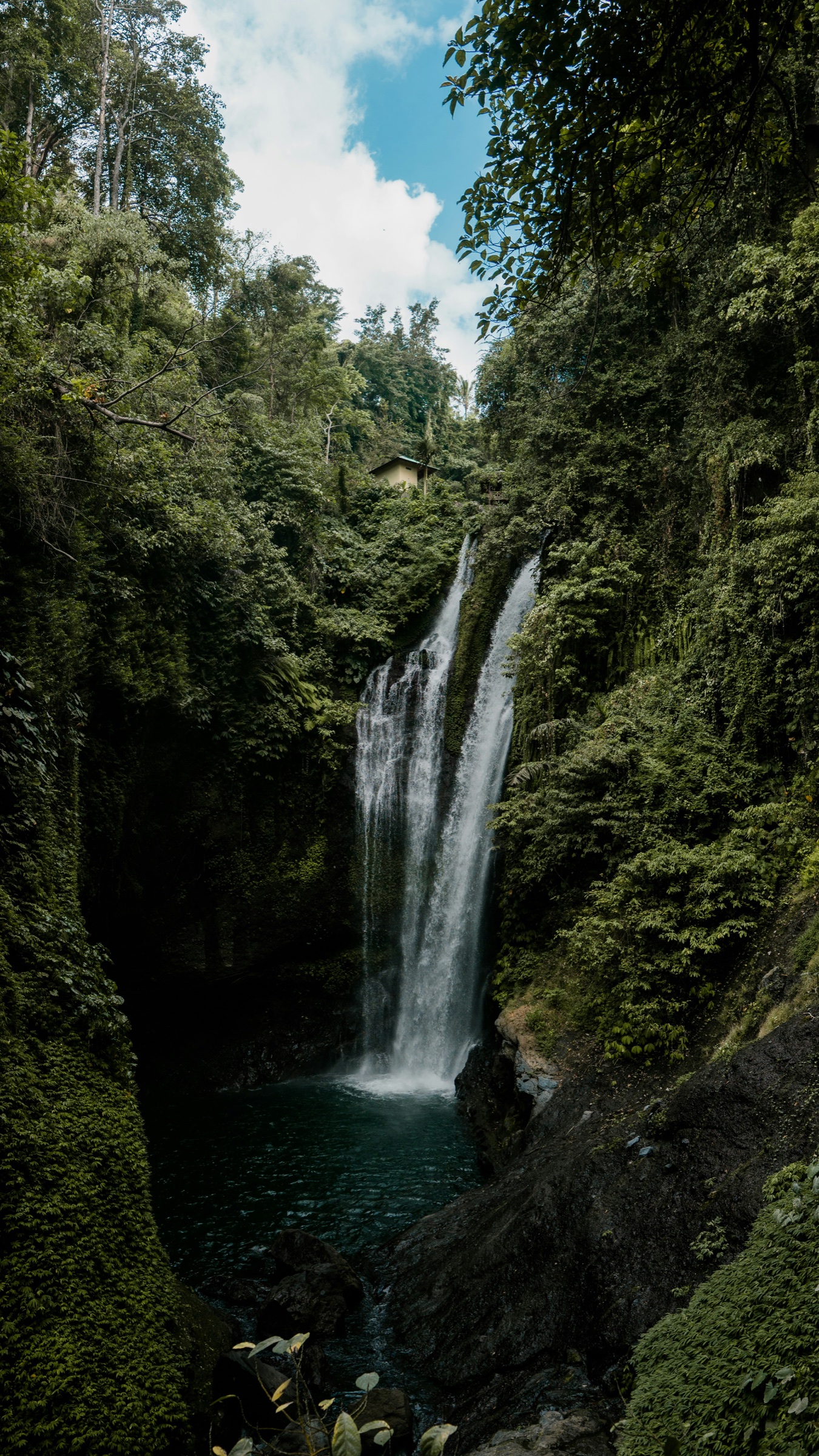 Bali jungle waterfall surrounded by lush greenery