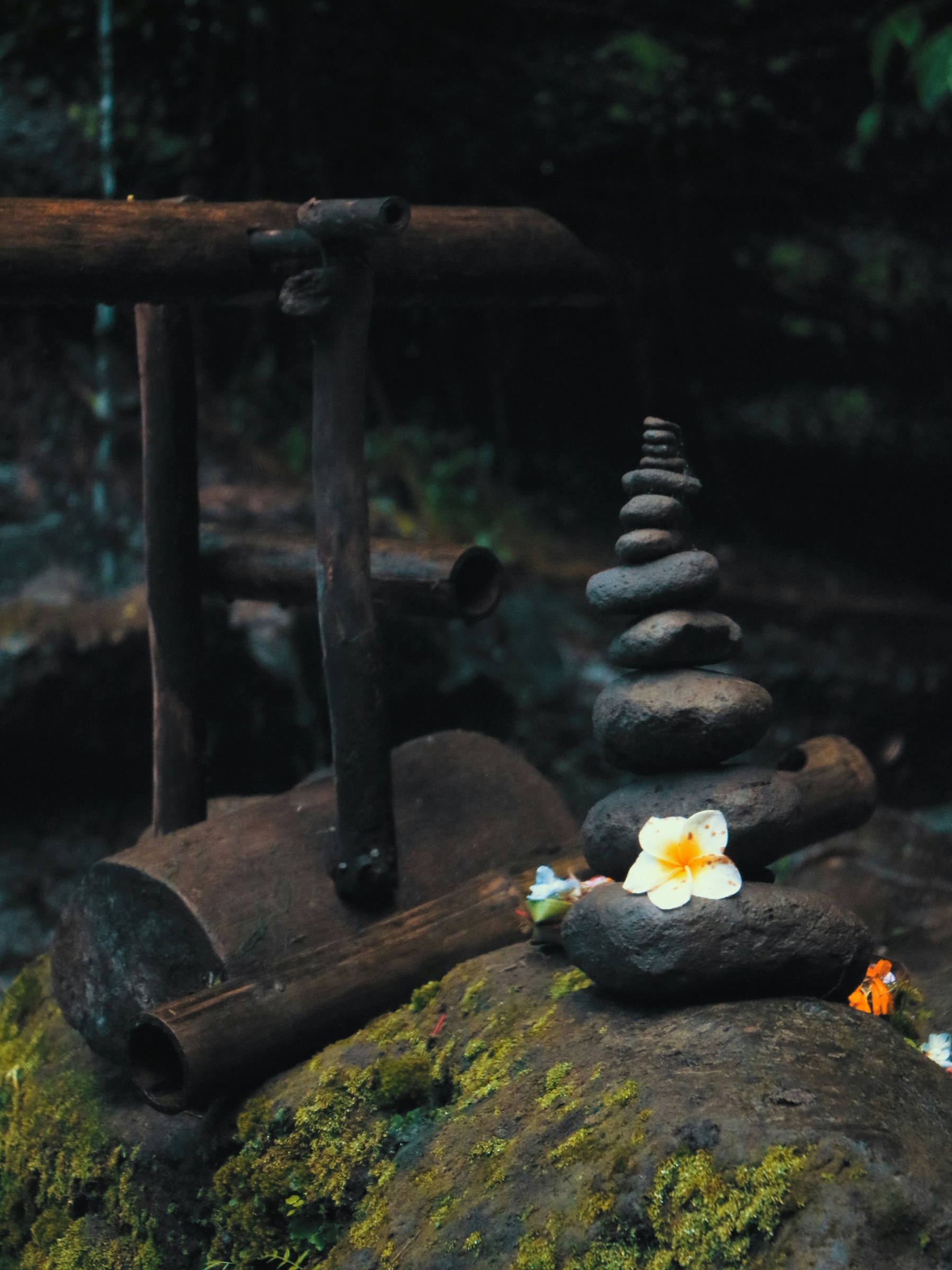 Balinese healing stones and frangipani — balance and stillness